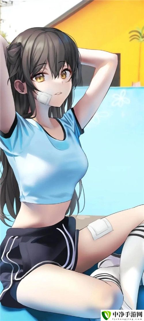 床上的72种扦插方法免费不花钱