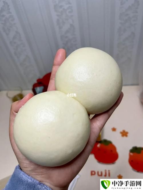老师的两个大馒头叫什么