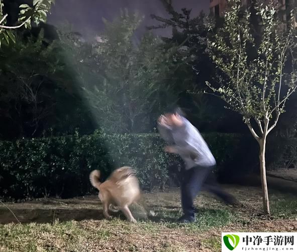 人狗大战9免费观看正版