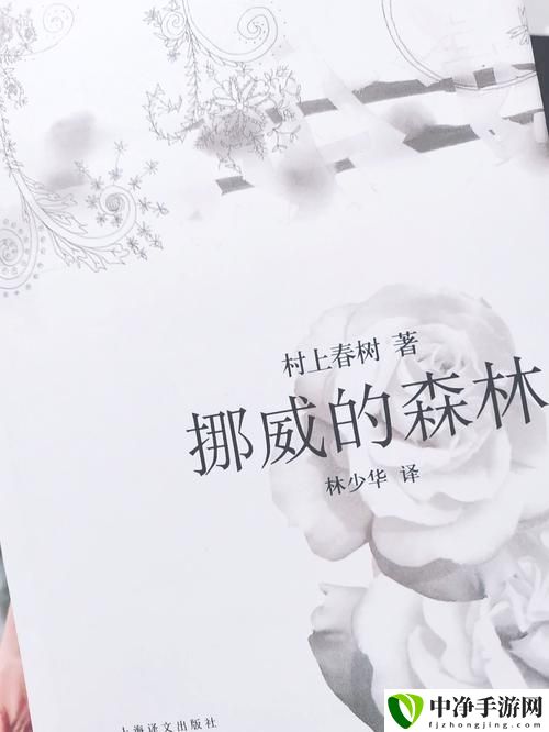 挪威的森林截了一段3分钟