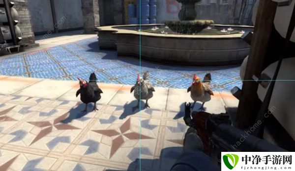 csgo怎么养鸡 游戏养鸡/喂鸡/驯养技巧分享