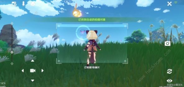 原神容彩诗境其二攻略 稻妻特色动物位置分布大全