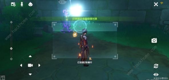 原神容彩诗境其二攻略 稻妻特色动物位置分布大全